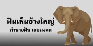 ทำนาย ฝันเห็น ช้างใหญ่ ตามความเชื่อโบราณ