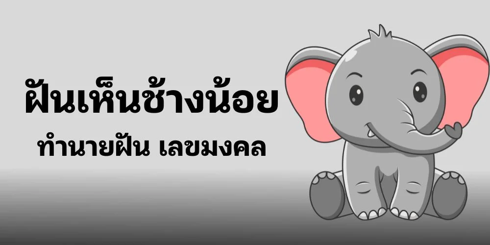 คำทำนาย ฝันเห็น ช้างน้อย